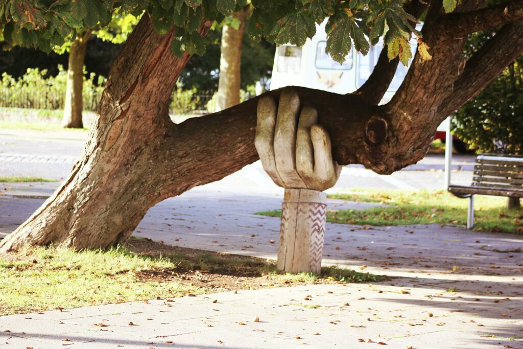 Wooden sculpture of a hand holding up a tree branch, used to illustrate concept of IT support for businesses.