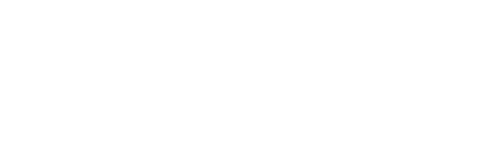 Level5 Management