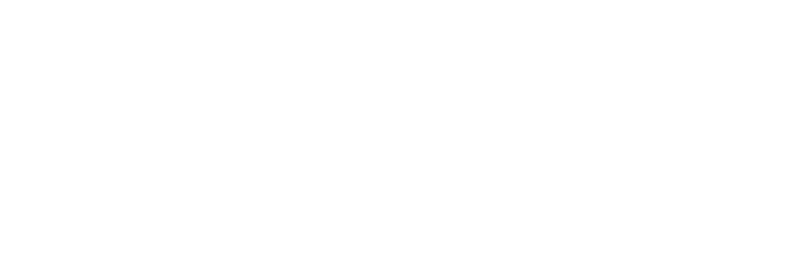 Level5 Management Best IT Company in Boca Raton