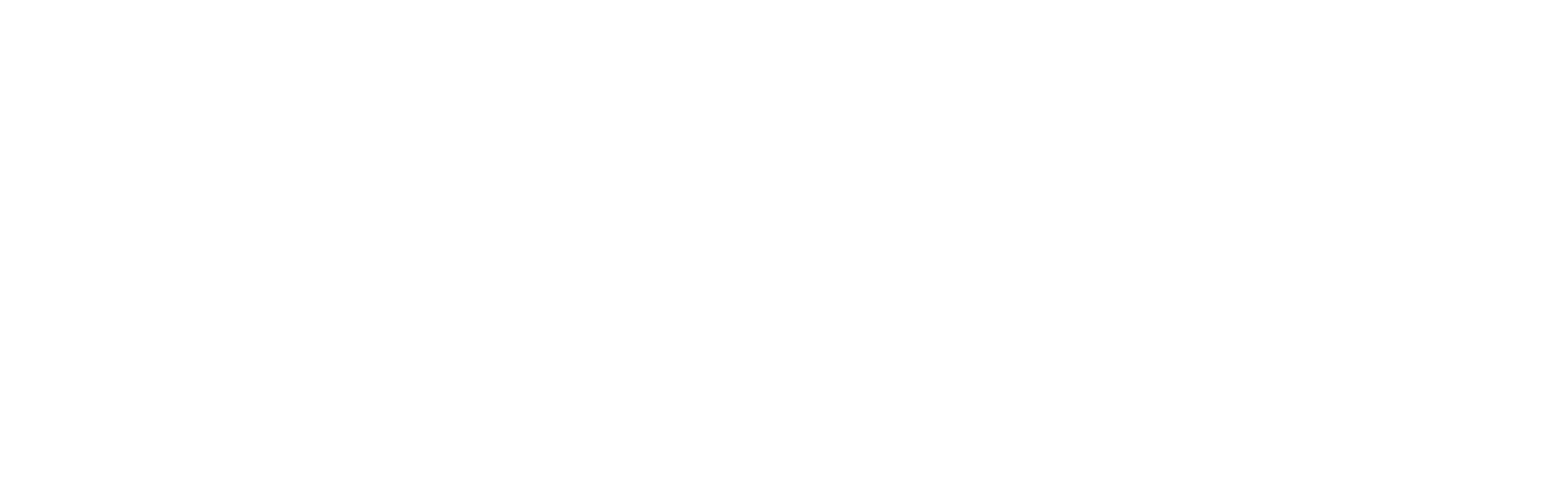 Level5 Management Best IT Company in Boca Raton